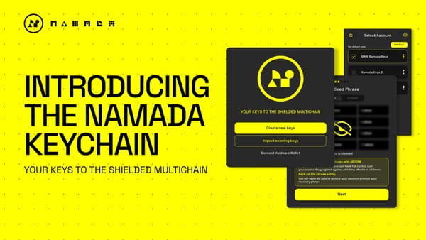 Introducing the Namada Keychain